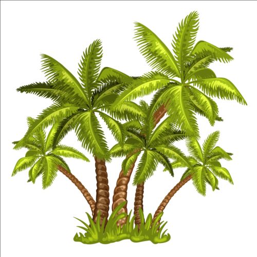 palm tree illustration free download