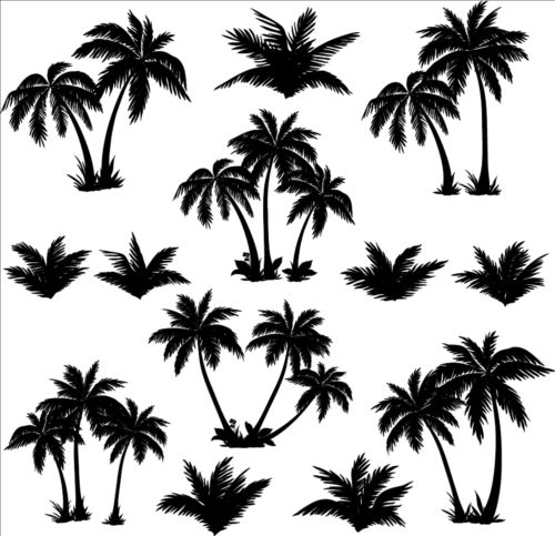 Palm tree silhouetter vector 02