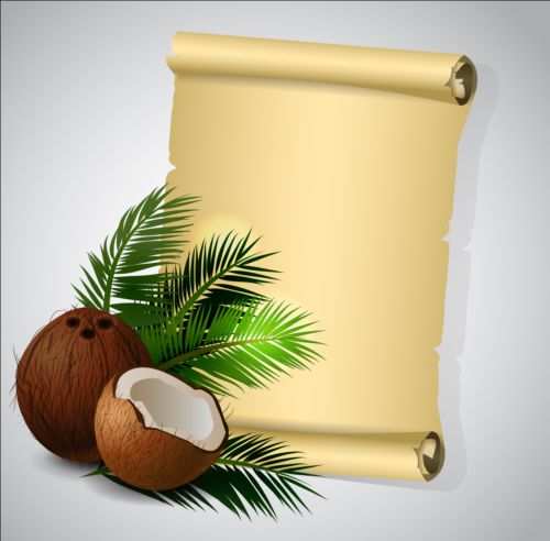 Paper scrolls with coconut background vector