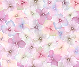 Pink flower pattern seamless vector