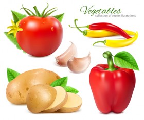 Potato slices with tomatoes and peppers garlic vector