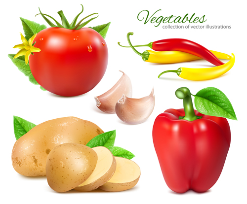 Potato slices with tomatoes and peppers garlic vector