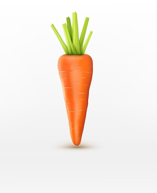 Realistic carrot vector material 03