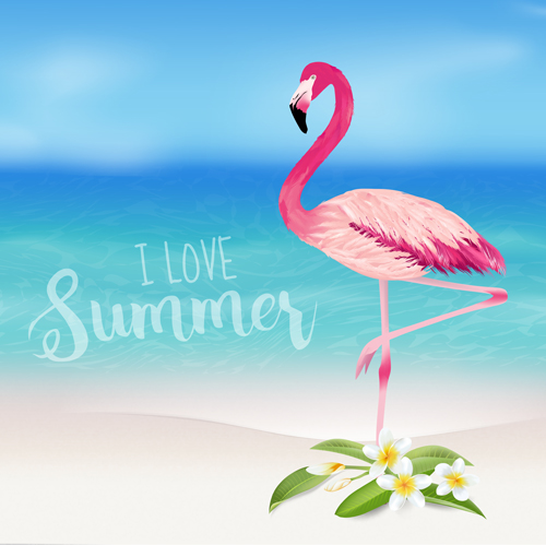 Sea and plumeria with flamingo background vector 01