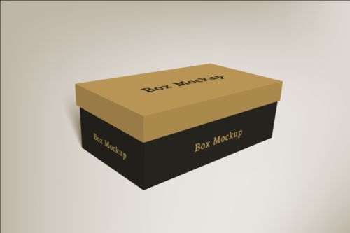 Shoes product packaging box vector design 01