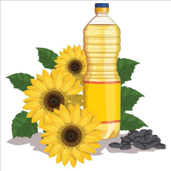 Sunflower seed oil vector material 01
