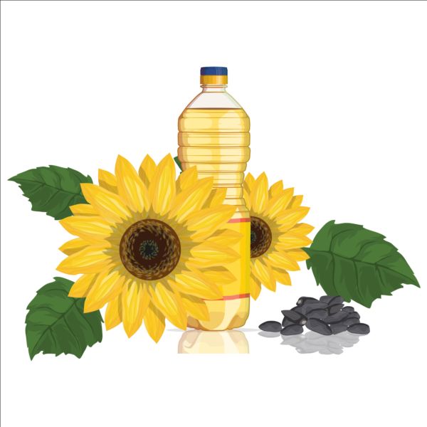 Sunflower seed oil vector material 03