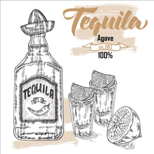 Tequila with Bottle and glasses hand drawn vector 01