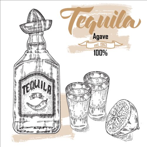 Tequila with Bottle and glasses hand drawn vector 02
