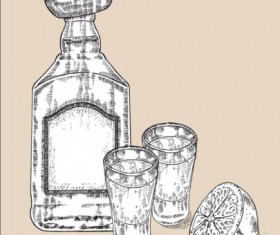 Tequila with Bottle and glasses hand drawn vector 03