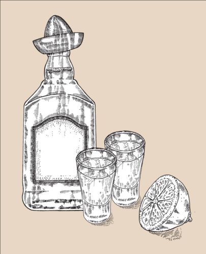 Tequila with Bottle and glasses hand drawn vector 03