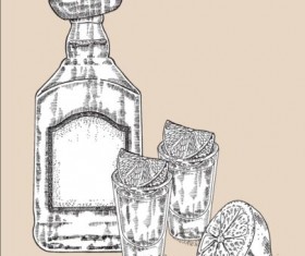Tequila with Bottle and glasses hand drawn vector 04