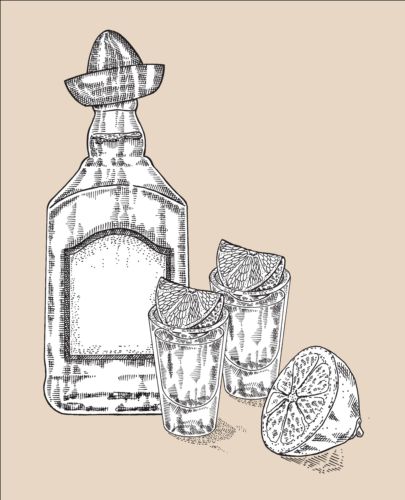 Tequila with Bottle and glasses hand drawn vector 04