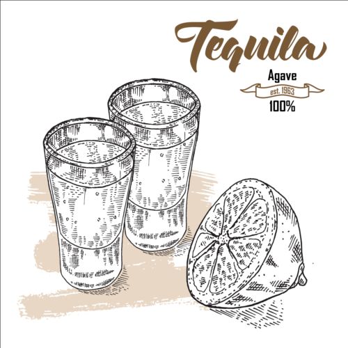 Tequila with lemon hand drawn vector 01