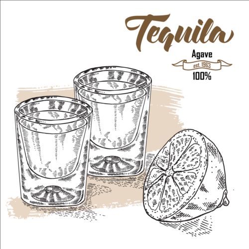 Tequila with lemon hand drawn vector 02