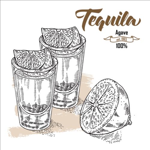 Tequila with lemon hand drawn vector 03