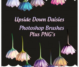Upside Down Daisies Brushes set