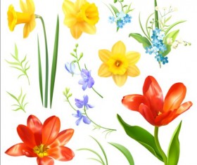 Various spring flower vector