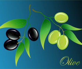 Vector olive art background set 05