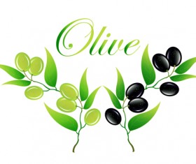 Vector olive art background set 09