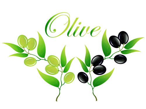 Vector olive art background set 09