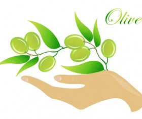 Vector olive art background set 10