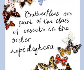 Vintage butterflies art background vector 01