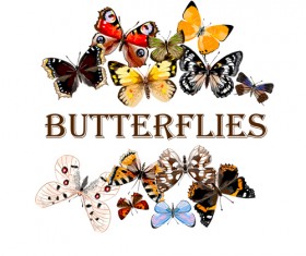 Vintage butterflies art background vector 02