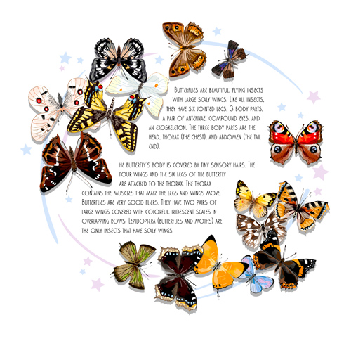 Vintage butterflies art background vector 03