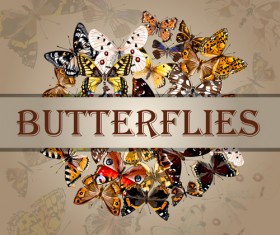 Vintage butterflies art background vector 05