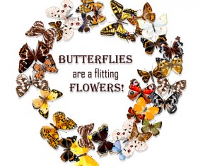 Vintage butterflies art background vector 06