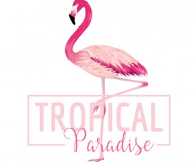 Watercolor flamingo vector background 01