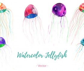 Watercolor jellylish vector material