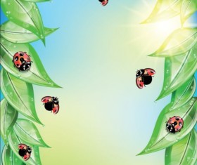 ladybug and leaves vector background 01