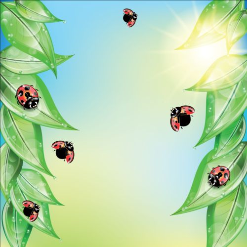ladybug and leaves vector background 01