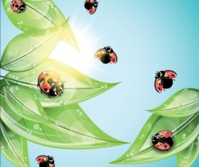 ladybug and leaves vector background 02