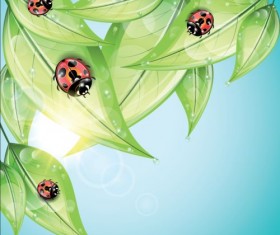 ladybug and leaves vector background 03