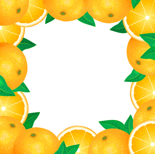 lemon frame vector