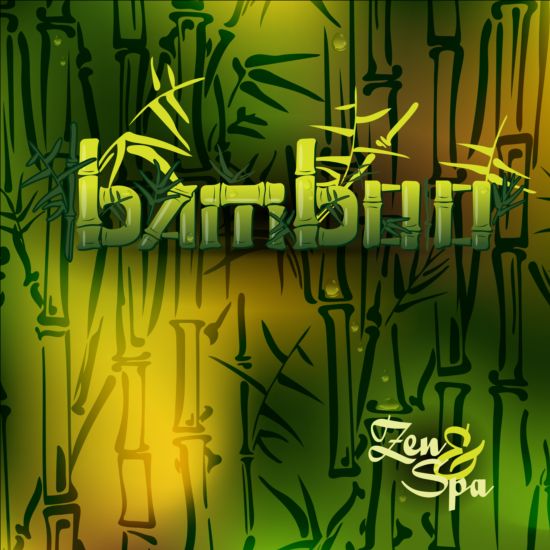Bamboo background with spa vector 02