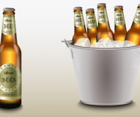 Beer bottle with ice vector