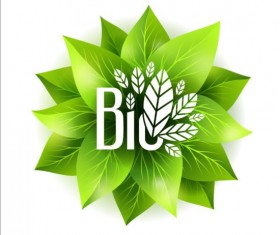 Bio green leaves vector material 01