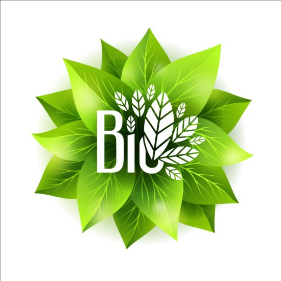 Bio green leaves vector material 01