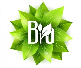 Bio green leaves vector material 02