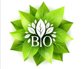 Bio green leaves vector material 03