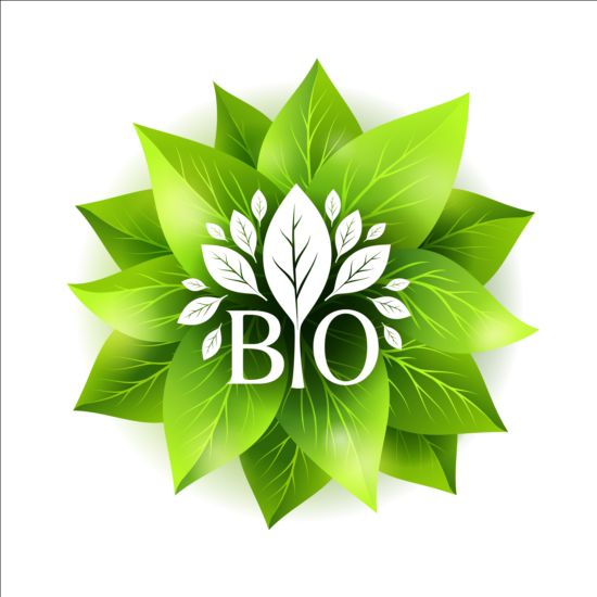 Bio green leaves vector material 03