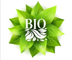 Bio green leaves vector material 04