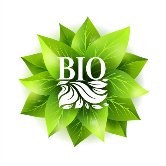 Bio green leaves vector material 04