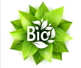 Bio green leaves vector material 05
