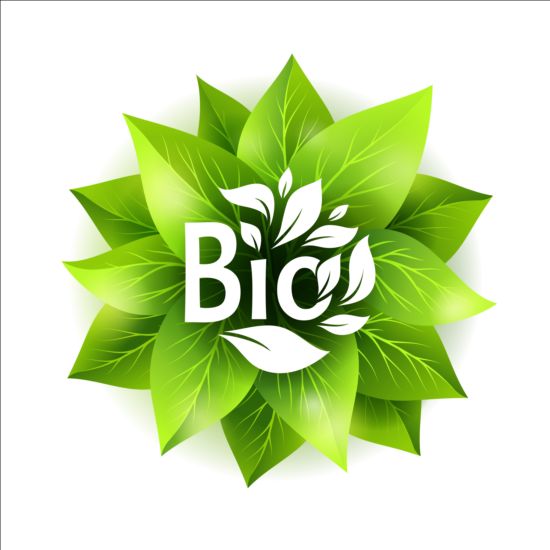 Bio green leaves vector material 05