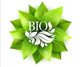 Bio green leaves vector material 06